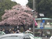 今日は何やかやと20kmほど…