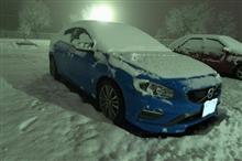 一転して本日は雪