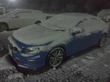 結局、本日も雪...