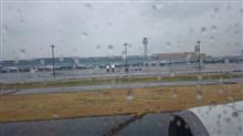 またしても飛行機で