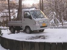 また雪が降りましたが、、、、 また雪が降りましたが、、、、