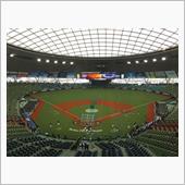 野球観戦（埼玉西武VSオリッ ...