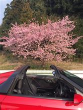 かぷじい号を若者に運転させてあげました〜の巻♪