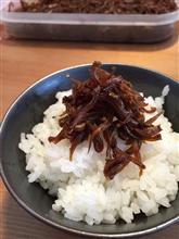 今年も春の便りがきました。