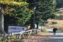 南志賀の秋③ 長野県道66号豊野南志賀公園線 (2011 .10) 南志賀の秋③ 長野県道66号豊野南志賀公園線 (2011 .10)
