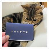 オートショップ・afterE ...