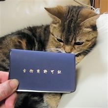 オートショップ・afterEnd 開店！？