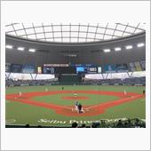 野球観戦（埼玉西武VS横浜D ...
