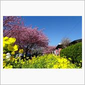 2016年02月21日(日) ...