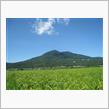 きょう、　目指すは　　筑波山　　～　　♪　