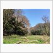 朝から公園散歩