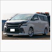 久しぶりの洗車