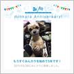 祝・みんカラ歴5年！