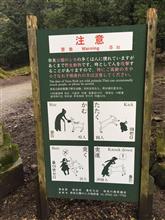 奈良公園に行ってきた