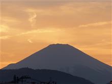 ３月２０日日曜日の日記　春分の日