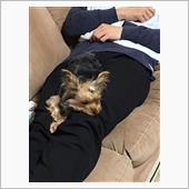 連休の結末 本章