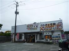 うなぎ定食