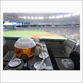野球観戦（埼玉西武VSオリッ ...