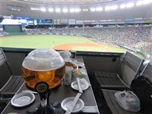 野球観戦（埼玉西武VSオリックス）