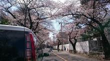 見頃にはちょっと早かった((^┰^))ゞ 