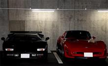 駐車場からこんにちは