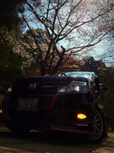 2016桜前線到来⁉️ 2016桜前線到来⁉️