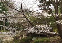 桜梅桃李 