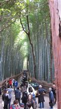 歩行者天国ではない・・・ 歩行者天国ではない・・・