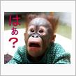 はぁ？