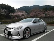 修学旅行・・・みたいなｗｗｗ