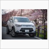 2016 桜