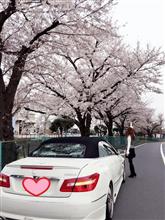 やっぱり運がいい！亀が・・・♡笑