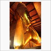 タイへ研修に行って来ましたよ ...