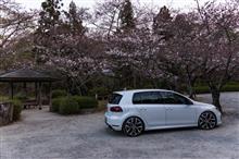 2016.3.30 桜開花調査 in 根来寺