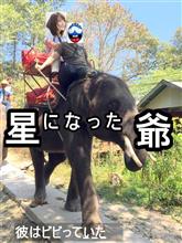 星 に な っ た 爺 　 （タイへ研修に行って来ましたよ♪➂－１）