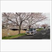 今日から…