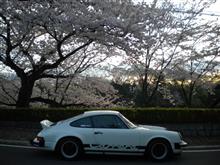 早朝散歩 