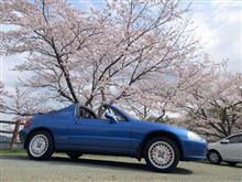 桜の開花早すぎ! 桜の開花早すぎ!