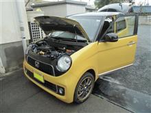 絶好の洗車日和