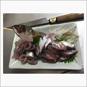 大分、アジ釣り