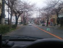 さく・・・