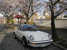 はんなり（花なりor花あり）