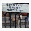 否定厨に俺はなる！…