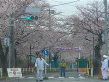 第39回警視庁白バイ安全運転競技大会に行ってきました。 第39回警視庁白バイ安全運転競技大会に行ってきました。