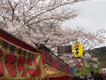 東寺の夜桜 東寺の夜桜