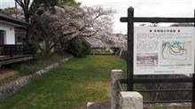 滋賀県安土城資料館＆彦根城の桜♪