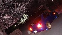夜桜と烏城 夜桜と烏城