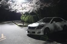 夜な夜な撮影会 夜な夜な撮影会