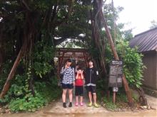 沖縄旅行3日目 親子ガジュマル