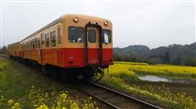 小湊鉄道と菜の花とELISE&#160;